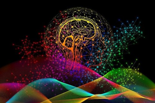 How the Brain Develops: A New Way to Shed Light on Cognition - Neuroscience News