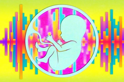 Early Sound Exposure in the Womb Shapes the Auditory System