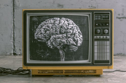 Heavy TV Watching Systematically Shrinks Your Brain - Neuroscience News