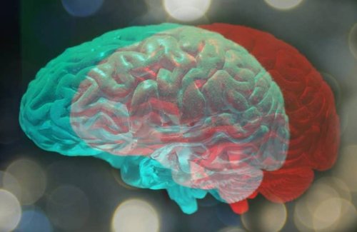 ‘Brain Fingerprinting’ of Adolescents Might Be Able to Predict Mental Health Problems Down the Line - Neuroscience News