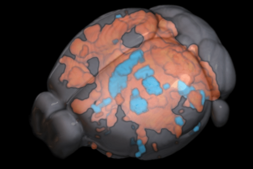 New Technology May Help Inform Brain Stimulation - Neuroscience News