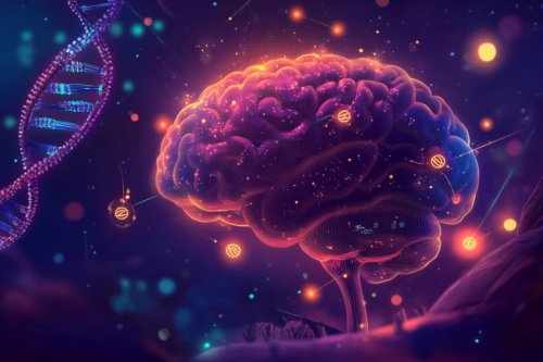 DNA Methylation in Serotonin Center Offers New Clues to Autism