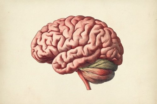 Nanoparticles Deliver mRNA to the Brain, Bypassing Blood-Brain Barrier