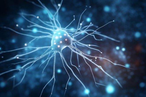 Neuro-Insights of the Week From Neuroscience News, October 1, 2023 - Neuroscience News