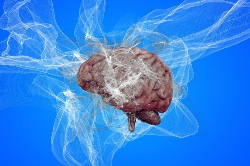 Brain Decline Comes Later Than Previously Thought - Neuroscience News