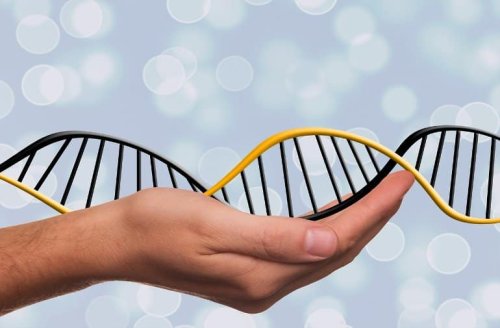 New DNA Clues for Parkinson’s Disease Risk - Neuroscience News