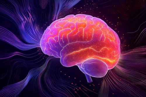 Sensory Stimulation Boosts Memory and Brain Growth in Down Syndrome