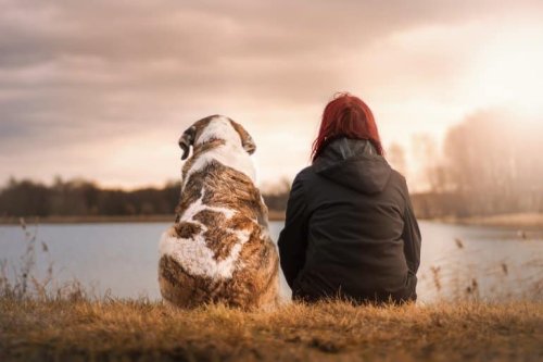 A New Perspective on Grieving Loss of a Pet