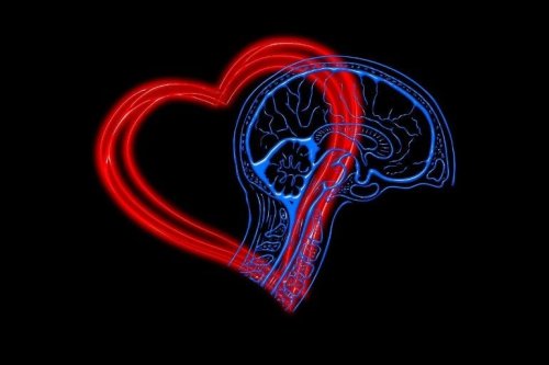 Early Cardiovascular Disease Linked to Worse Brain Health in Middle Age - Neuroscience News