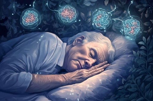 Poor Sleep Linked to Brain’s Waste-Removal Breakdown