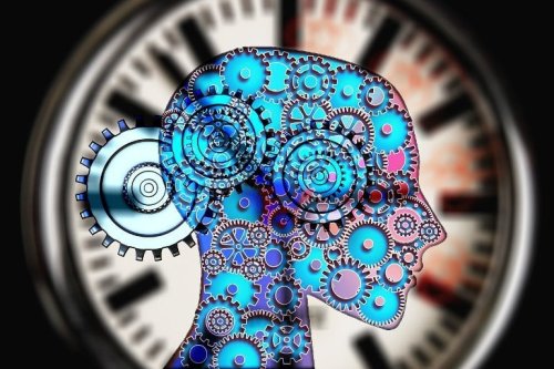 A Crucial Role of Brain’s Striatum Cilia in Time Perception - Neuroscience News