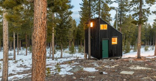 Forest micro-cabin explores simplicity and sustainability