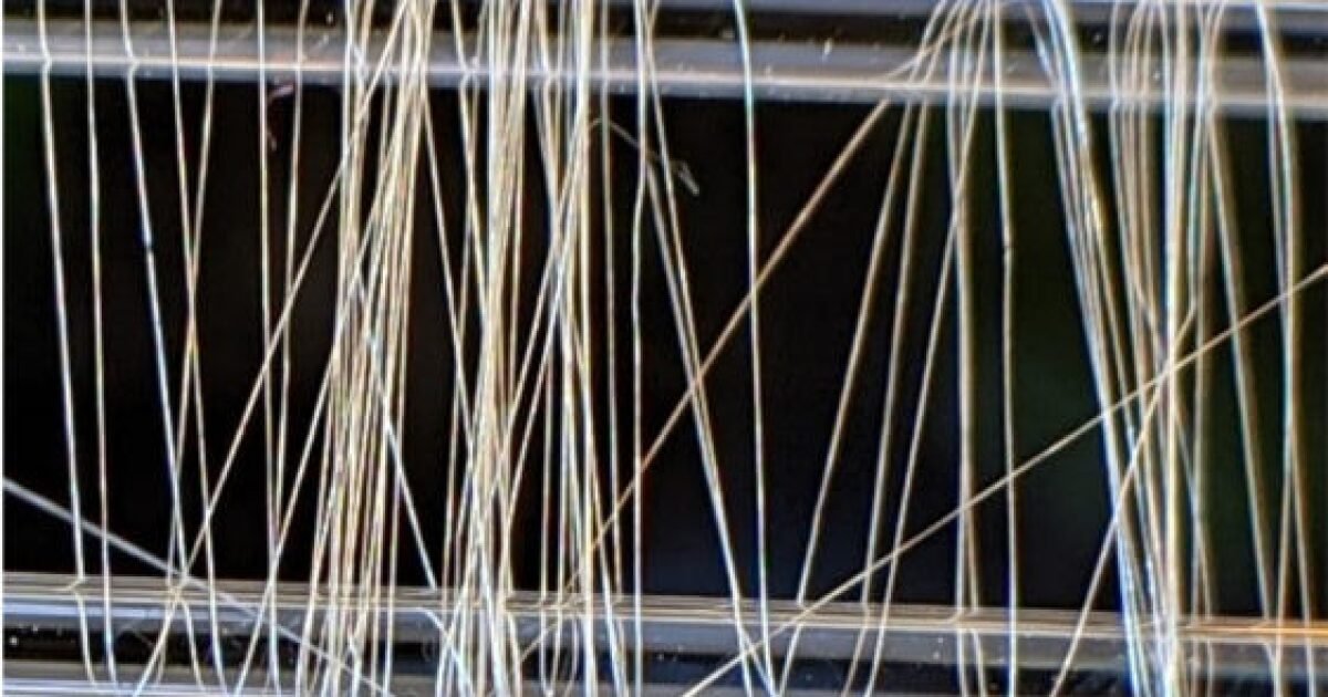 Synthetic spider silk stronger and tougher than the real thing