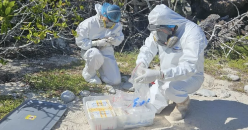 Catastrophic avian influenza reaches the Galapagos for the first time