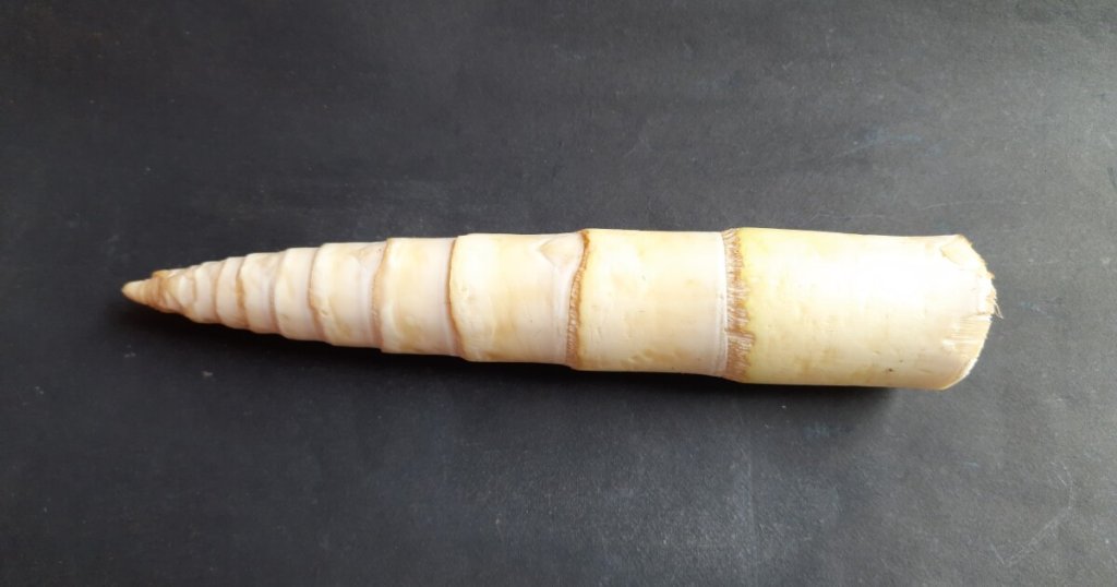 Medical Advances - cover