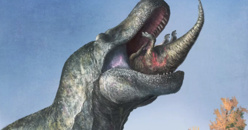 Sorry, but the T. rex doesn't look anything like you think it does