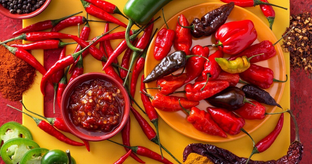 Fat-burning drug derived from chili pepper chemical successful in early mouse trials