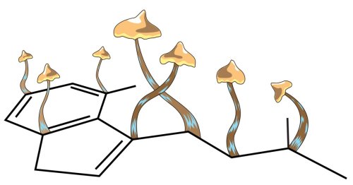 Landmark study shows one dose of psilocybin induces new neural connections