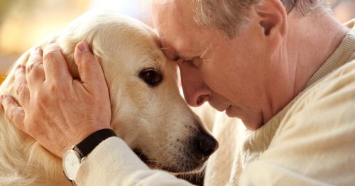 Now we know: Dogs can sniff trauma recollections on our breath