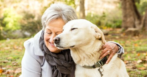 Pets found to deliver significant health benefits to the lonely