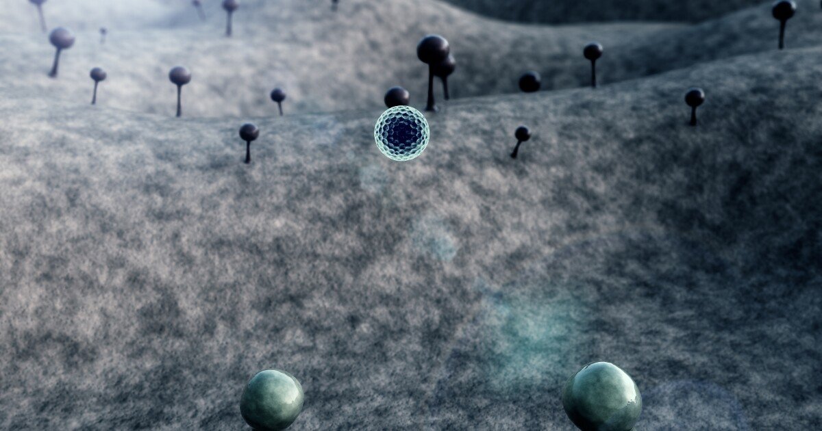 Discovery of cancer’s fungal fingerprint could predict disease outcomes