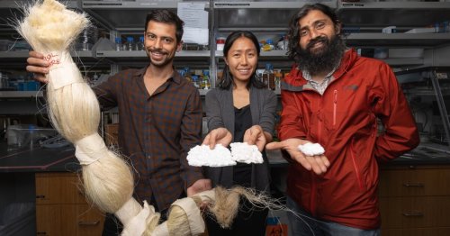 Plant-fiber menstrual pads may help end "period poverty"