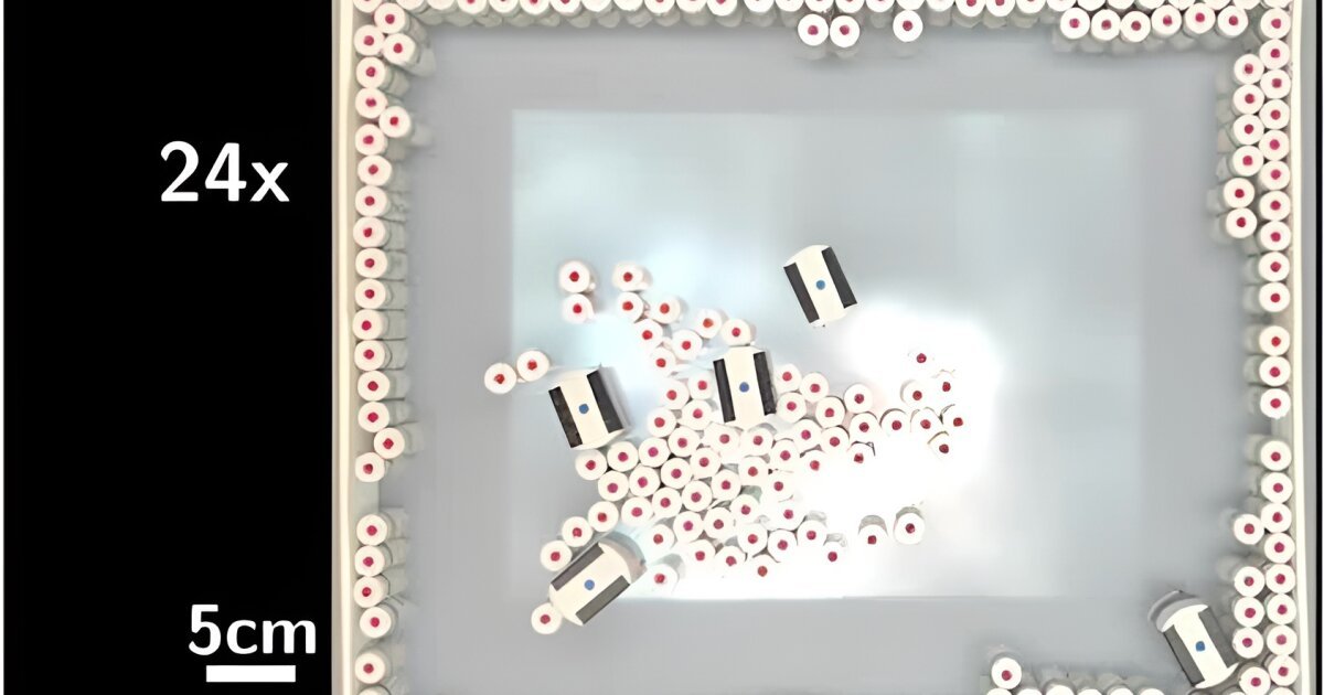 Just call these tiny autonomous construction robots “antdroids”