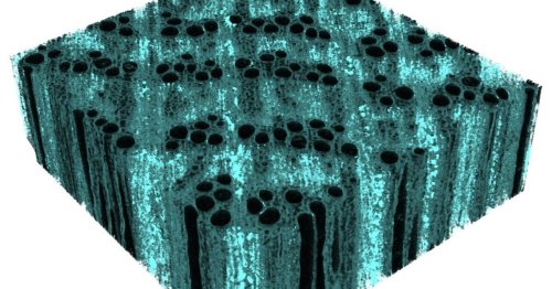 Iron-fortified lumber could be a greener alternative to steel beams
