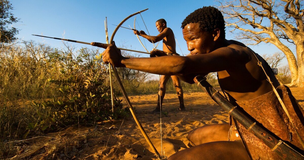Ancient African arrow poison inspires prospective male contraceptive
