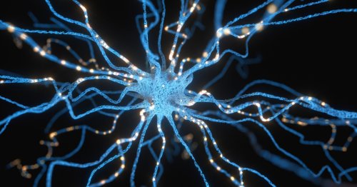 Directly converting skin cells to brain cells yields 1,000% success