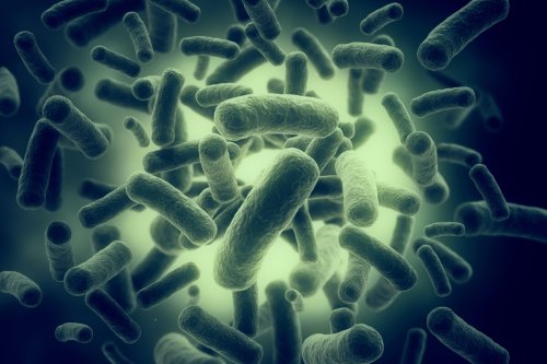 New antibiotic molecule kills dozens of the toughest types of superbugs