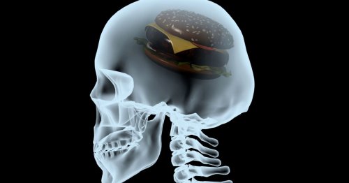 Striking study reveals how dietary fats enter the brain and cause depression