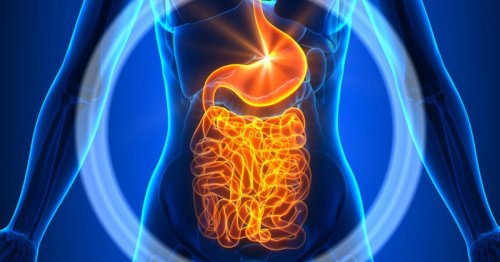 Fecal transplants for autism deliver success in clinical trials