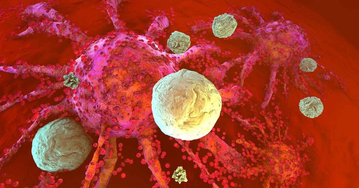 Antigens and immunotherapy break through pancreatic cancer's barriers