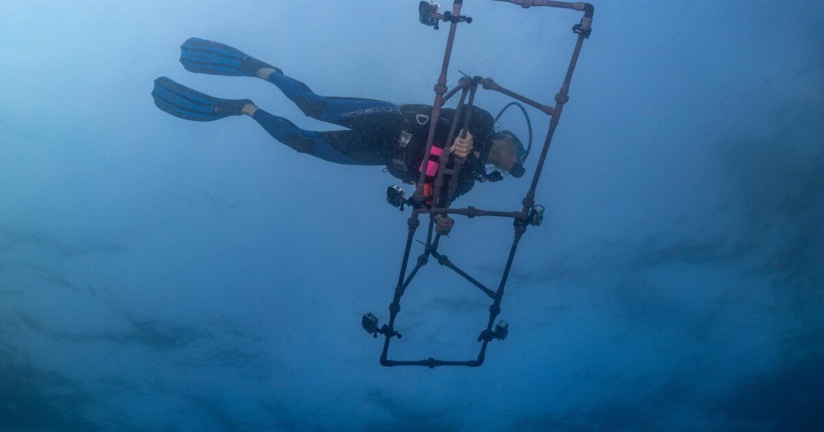 AI tech takes just minutes to convert GoPro videos into 3D coral reef maps