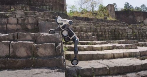 Watch: Unstoppable robodog unleashed to tackle industrial extremes