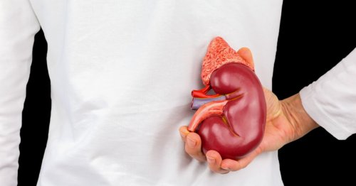 Scientists identify role of key metabolism enzyme in kidney disease