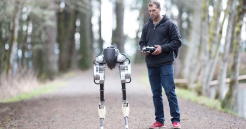 Walking robot takes first steps into the market