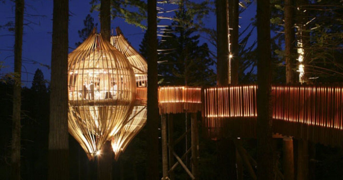 Redwoods Treehouse offers a unique treetop dining experience