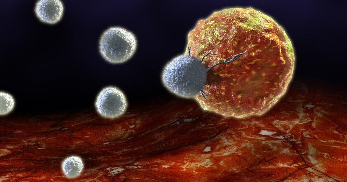 Stem cell rejuvenation helps immunotherapy fight cancer tirelessly