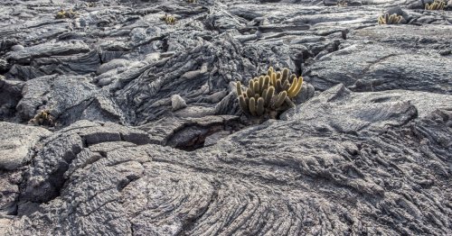 Stanford's low-carbon cement swaps limestone for volcanic rock