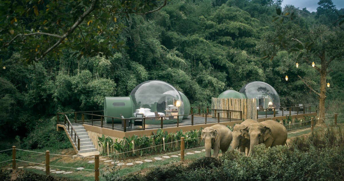 Transparent Jungle Bubbles let guests sleep among elephants