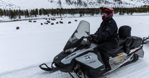 Yellowstone on snowmobiles and why Ski-doo is the only one allowed