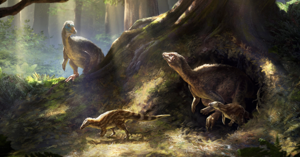 'Overlooked' dinosaur had superpower senses ideal for life underground