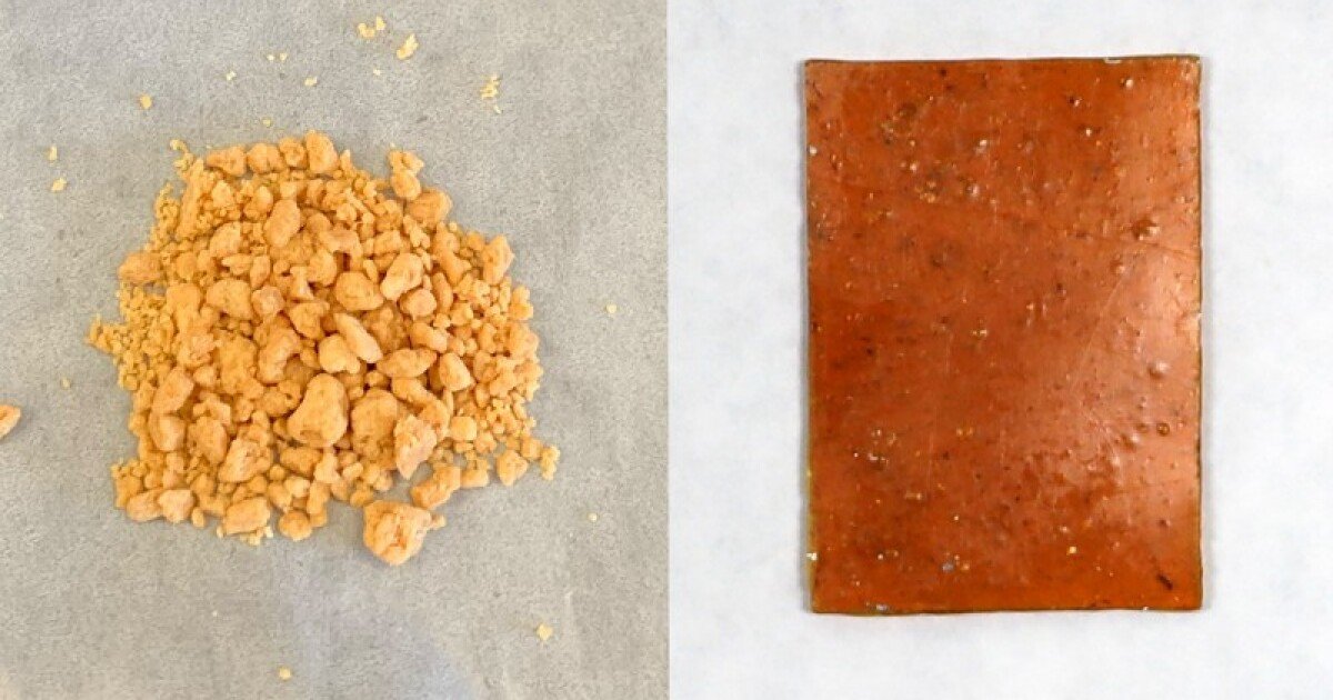Bacteria recruited to build endlessly recyclable plastic