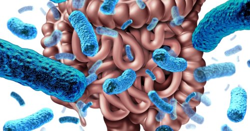 Meta-study suggests anxiety can be reduced by altering gut bacteria, but not with probiotics