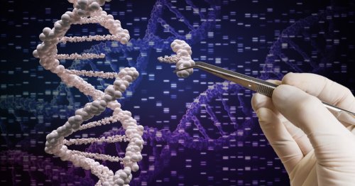 New CRISPR tools enable extraordinarily precise gene editing in human cells