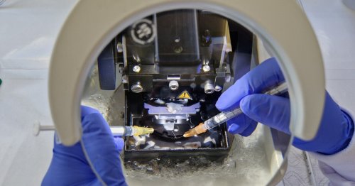 An F1 legend is now driving crucial Alzheimer's discoveries