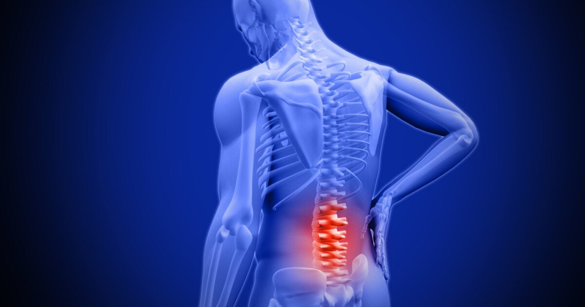 Anti-aging drugs preserve spinal discs to target age-related back pain