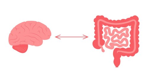 Two studies deliver strong evidence linking depression and gut bacteria